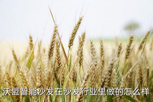 山東沃盟智能科技怎么樣，沃盟智能沙發(fā)怎么使用