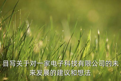 目寫關(guān)于對(duì)一家電子科技有限公司的未來發(fā)展的建議和想法