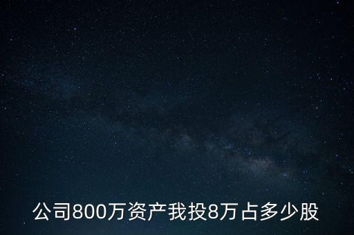公司800萬資產(chǎn)我投8萬占多少股