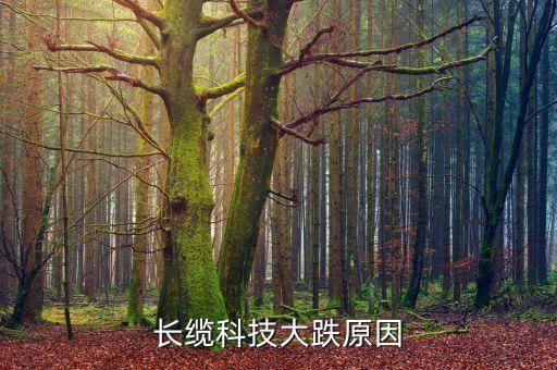 長纜科技大跌原因