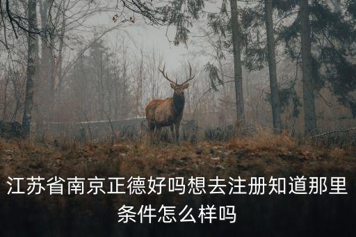 江蘇省南京正德好嗎想去注冊(cè)知道那里條件怎么樣嗎
