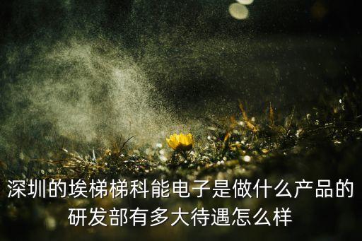 埃誠智能科技怎么樣，深圳的埃梯梯科能電子是做什么產(chǎn)品的研發(fā)部有多大待遇怎么樣