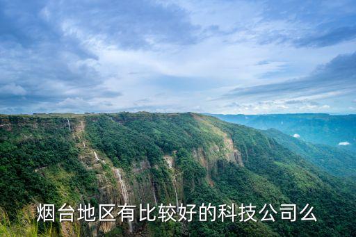 煙臺(tái)地區(qū)有比較好的科技公司么