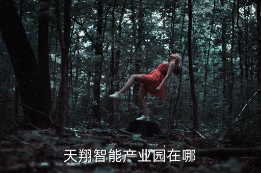 天翔智能產(chǎn)業(yè)園在哪