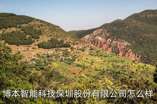 博本智能科技深圳股份有限公司怎么樣