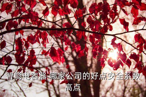 智能電容器 哪家公司的好點(diǎn)安全系數(shù)高點(diǎn)