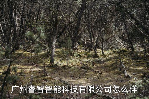 廣州睿智智能科技有限公司怎么樣