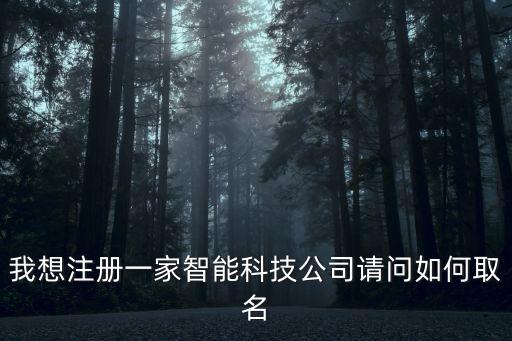 我想注冊一家智能科技公司請問如何取名