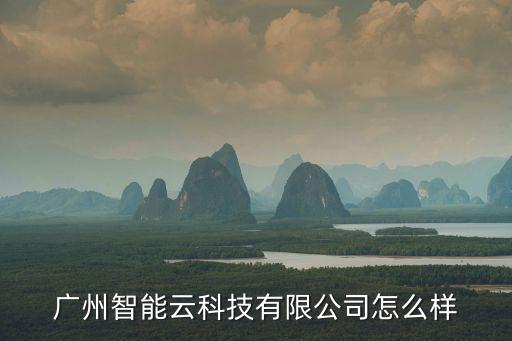 廣州智能云科技有限公司怎么樣