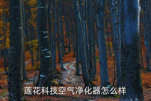 蓮花科技空氣凈化器怎么樣