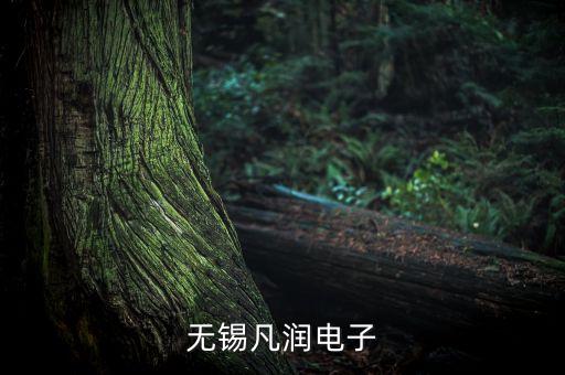 無(wú)錫凡潤(rùn)電子