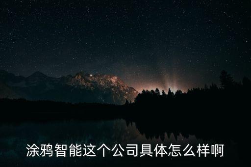 涂鴉智能這個(gè)公司具體怎么樣啊