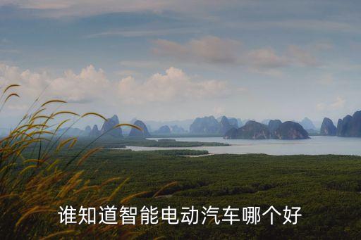 保隆科技和智能汽車哪個(gè)好，誰知道智能電動(dòng)汽車哪個(gè)好