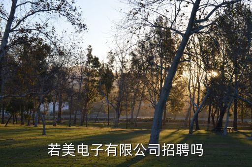 若美電子有限公司招聘嗎