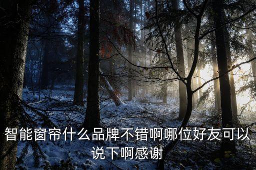 智能窗簾什么品牌不錯啊哪位好友可以說下啊感謝