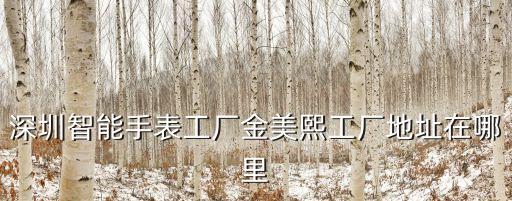 科技智能手表批發(fā)廠家在哪里，深圳智能手表工廠金美熙工廠地址在哪里