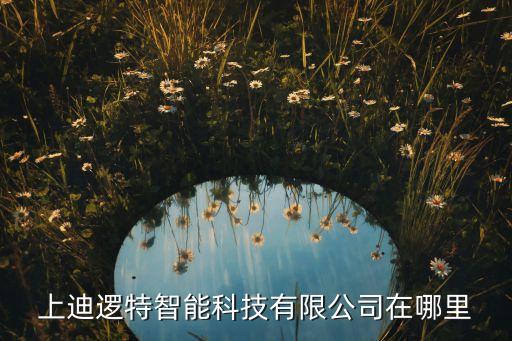 迪力智能科技招聘電話是多少，上迪邏特智能科技有限公司在哪里