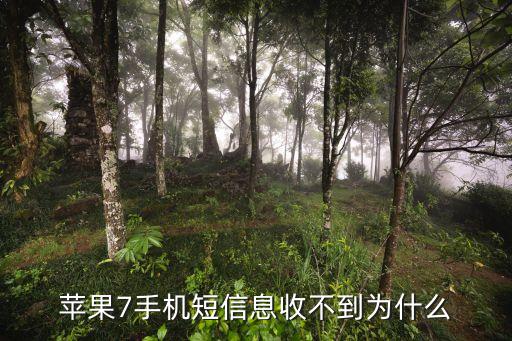 蘋果7手機短信息收不到為什么