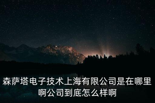 森薩塔電子技術(shù)上海有限公司是在哪里啊公司到底怎么樣啊