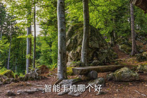 智能手機哪個好