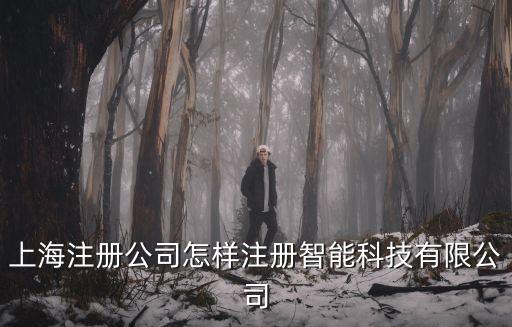 如何創(chuàng)立一家智能科技公司，我想注冊一家智能科技公司請問如何取名
