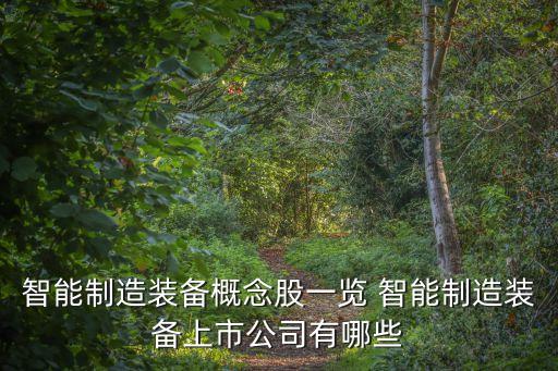 高科技智能制造企業(yè)有哪些，智能制造產業(yè)都有哪些