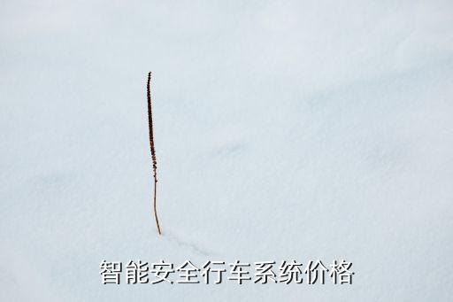 黑科技智能安全馬甲多少錢，家用智能安防系統(tǒng)一般要多少錢