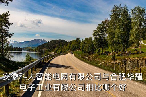 安徽科大智能電網(wǎng)有限公司與合肥華耀電子工業(yè)有限公司相比哪個(gè)好