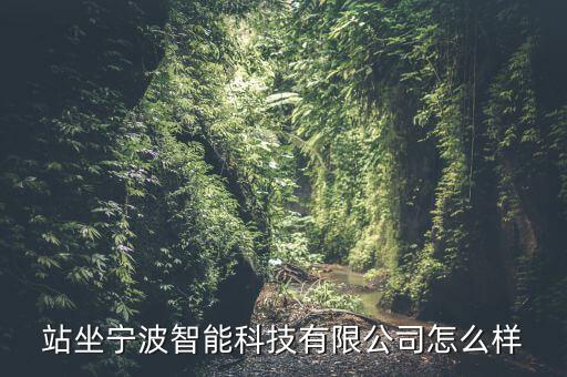 站坐寧波智能科技有限公司怎么樣