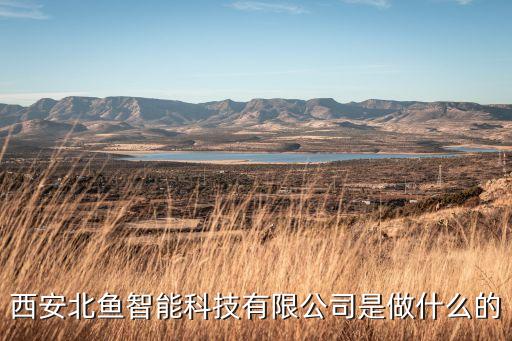 西安北魚(yú)智能科技有限公司是做什么的