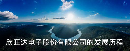 欣旺達電子股份有限公司的發(fā)展歷程