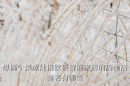 想搞個集成灶指紋鎖智能家居的店面店面名有哪些