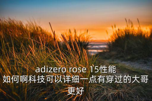 adizero rose 15性能如何啊科技可以詳細(xì)一點(diǎn)有穿過(guò)的大哥更好