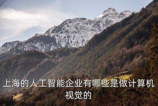 上海的人工智能企業(yè)有哪些是做計(jì)算機(jī)視覺(jué)的