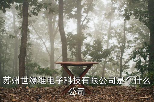 蘇州世緣維電子科技有限公司是個什么公司