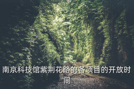 南京科技館紫荊花路的各項目的開放時間