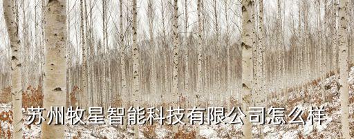 蘇州星然智能科技怎么樣，蘇州星源電子怎么樣