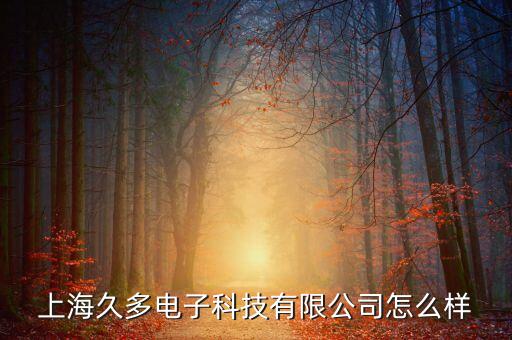 上海久瓴智能科技怎么樣，上海未來伙伴機器人有限公司怎么樣
