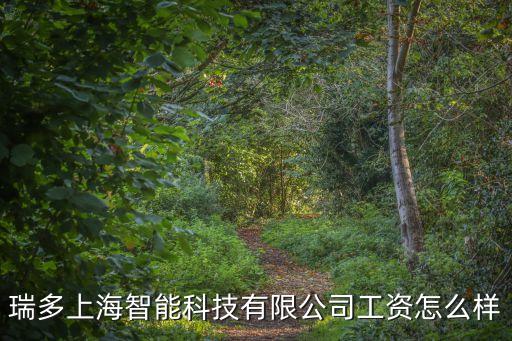 瑞好智能科技怎么樣，瑞多上海智能科技有限公司工資怎么樣