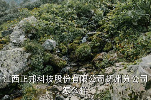 江西正邦科技股份有限公司撫州分公司怎么樣