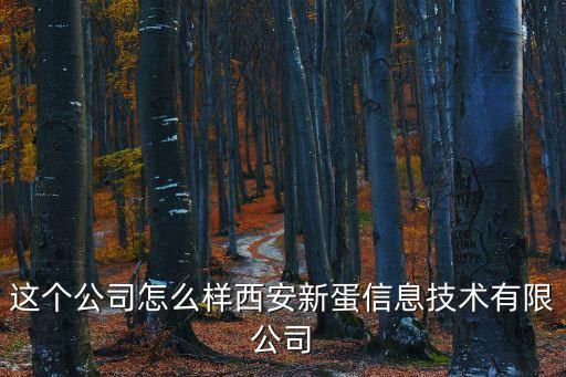 這個公司怎么樣西安新蛋信息技術有限公司