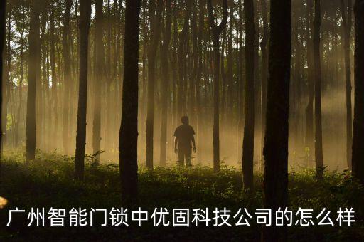 廣州優(yōu)飛智能科技怎么樣，廣州優(yōu)伴軟件科技公司怎樣