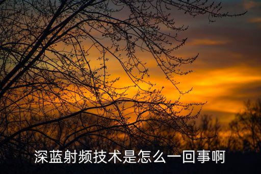 深藍(lán)射頻技術(shù)是怎么一回事啊