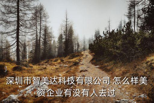 深圳市智美達(dá)科技有限公司 怎么樣美資企業(yè)有沒有人去過