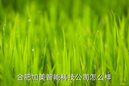 合肥加美智能科技公司怎么樣