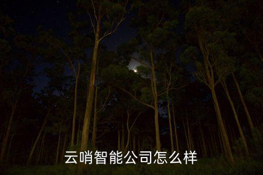 云哨智能公司怎么樣