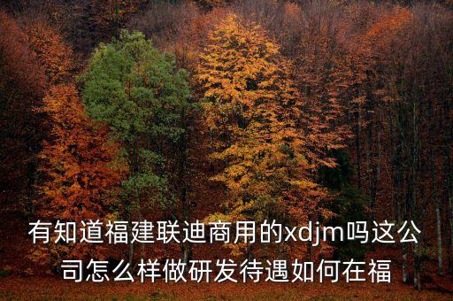 有知道福建聯(lián)迪商用的xdjm嗎這公司怎么樣做研發(fā)待遇如何在福