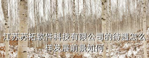 江蘇蘇拓軟件科技有限公司的待遇怎么樣發(fā)展前景如何