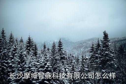 長(zhǎng)沙摩紳智能科技有限公司怎么樣