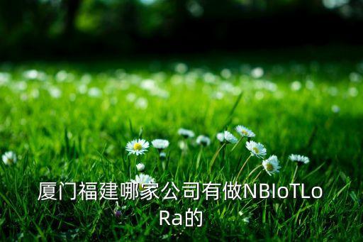 廈門福建哪家公司有做NBIoTLoRa的